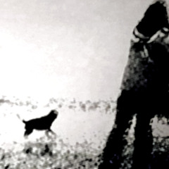 I Was Born To Make You Happy