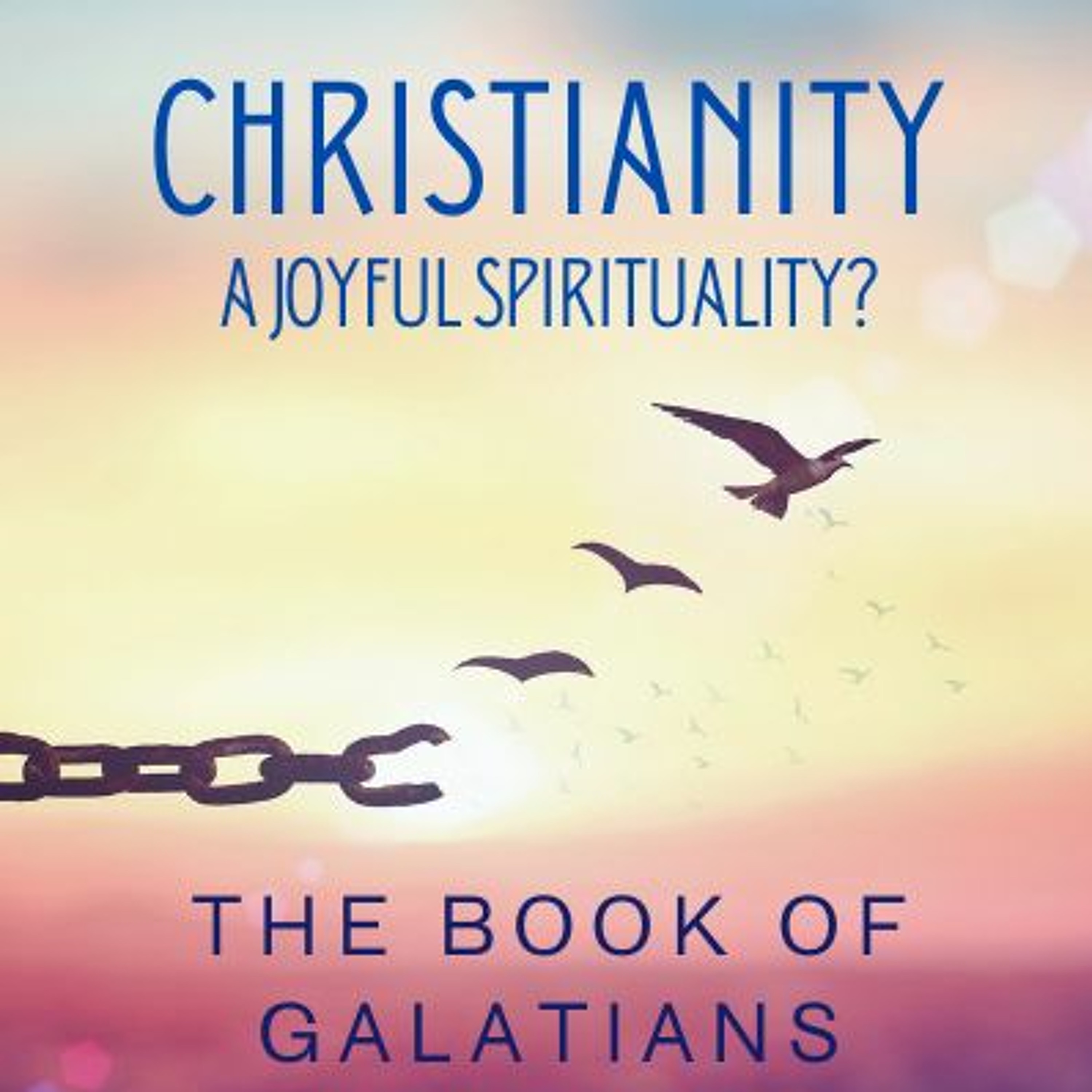 The relevance of a  Local Church - Week 8 - Christianity A Joyful Spirituality episode artwork
