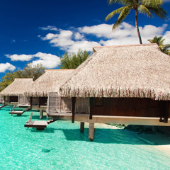 мы поем песни - лемонграс