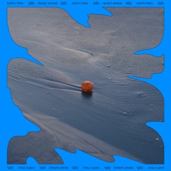 SNFLP003RMX // Earth Trax - I'm Not Afraid (Remixes) EP