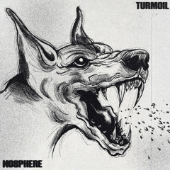 TURMOIL (FREE DL)