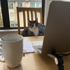 Present, Past, and Future