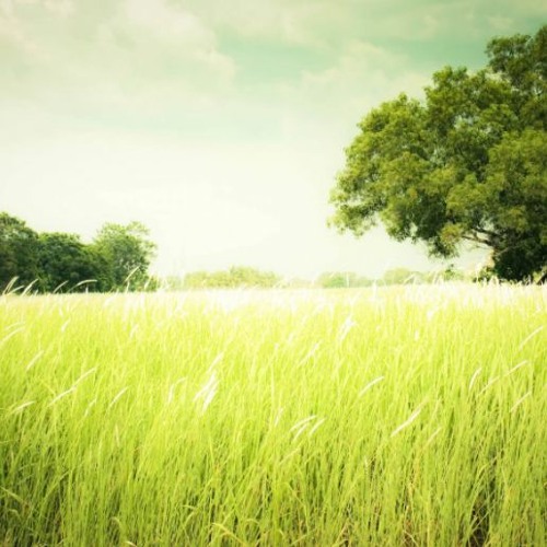 (Gustavo background cover (FREE DOWNLOAD)