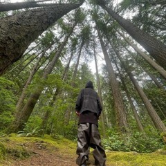 Yung Bruh Lurk N Twerk Pitched