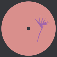 Daniel Meister - Lanao Izany EP // PRP016
