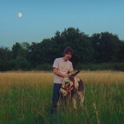 you deserve an oscar - matt maltese (slowed ever so slightly)