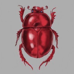 Call My Job (Stephen Asma and Michele Thomas)