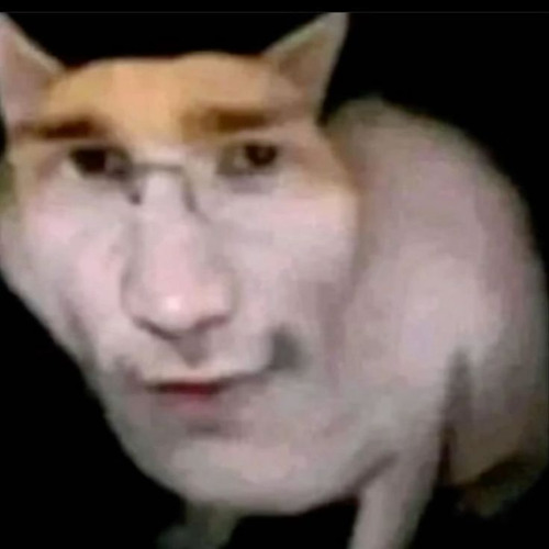 ㅤ