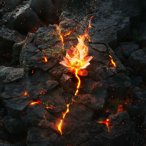 Andromedik - Stone