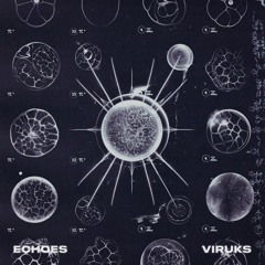 Echoes