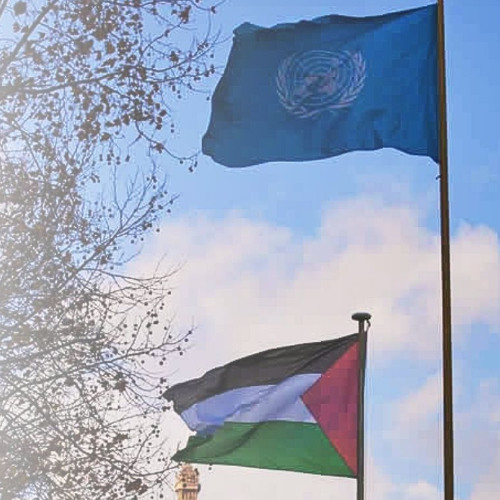 Aula Árabe Universitaria 7.3: The United Nations and the Palestinian Question: On the double standard and international law