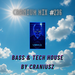 Cranium Mix #236 / Bass & Tech House
