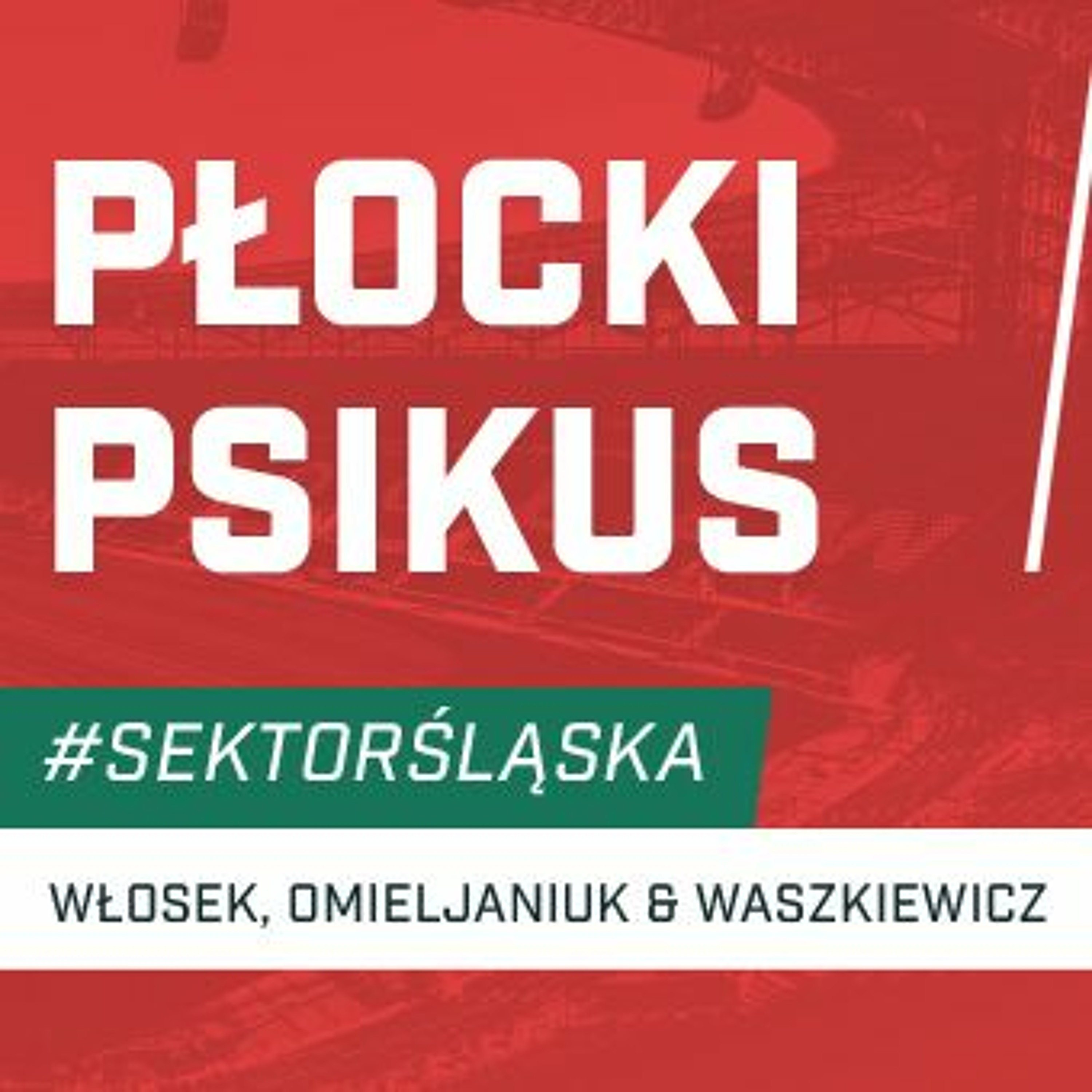 Śląsknet
