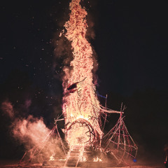 Where The Sheep Sleep 2025 (Burning Man NL) @ Night Stage