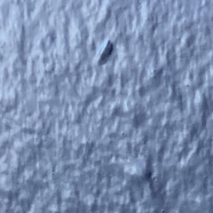 I Don’t Like Woman Beaters Pt. 2 (Prod. by LeTurtle x Kosfinger Beats)