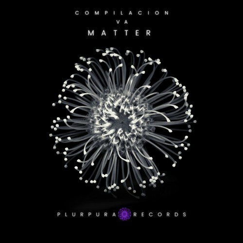[Premiere] Kaygee - Confluence [Plurpura Records]