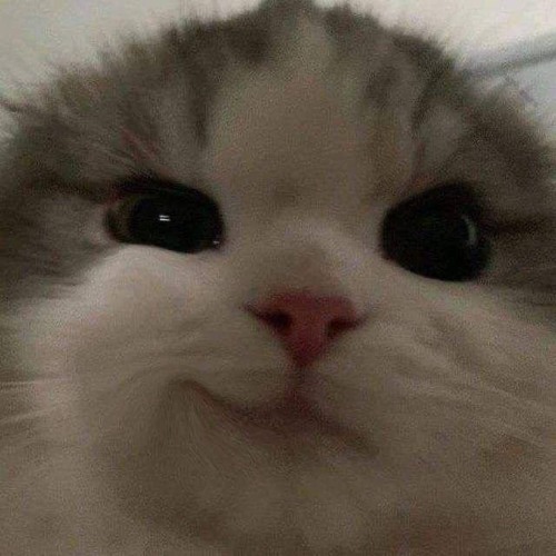 unforgiven – wanton soup chopped & screwed sped up.mp3