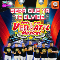Será Que Ya Te Olvide