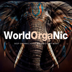 WORLD ORGANIC | Finest Organic & Oriental Deep House