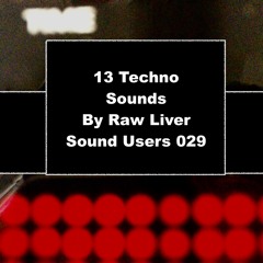 13 Techno Sounds - By Raw Liver