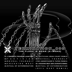 Termination_800 - Cybernetic Program Launching