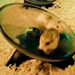 Techno Set Vol.2
