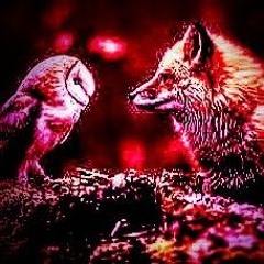 Hoodmoozak live @ Reitthoferpark