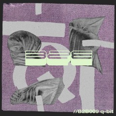 //B2B009 q-bit