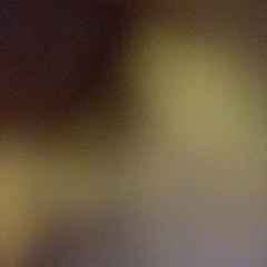 비닐