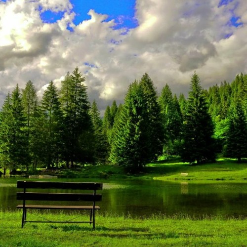 -Orchestral royalty free background music 😹FREE DOWNLOAD