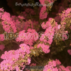 1Band1Sound(SoundsBy.RatedR)