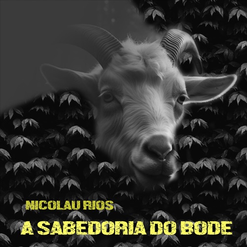 Manhã Alegre