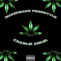 WAKENBAKE (Freestyle) (prod. Juicy J, Sonny Digital, D. Rich & Tommy Parker)