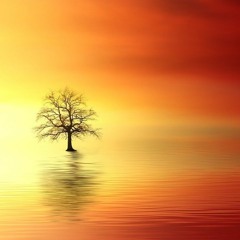 Atmospheres & Ambients
