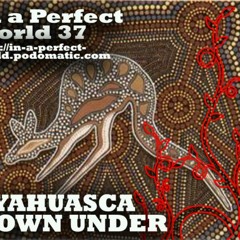 37. Ayahuasca, Down Under