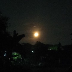 Eli (A Psalm of Lament)