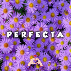Perfecta (Version 2023) (Remix)