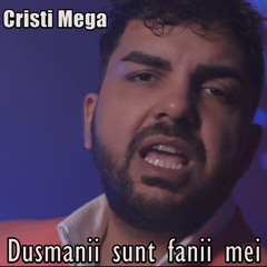 Dusmanii sunt fanii mei