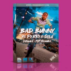 Bad Bunny - Yo Perreo Sola (Instrumental / Remake)