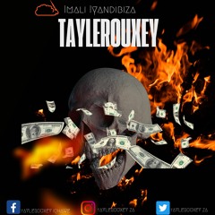 Taylerouxey- Imali Iyandibiza