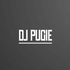 Dj PuGie Mega Mix - Dj PuGie