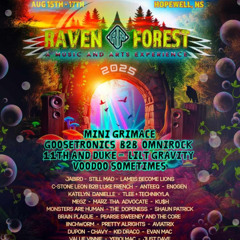 AIM with Aviatrix - Live @ Raven Forest 2025 0310-0410