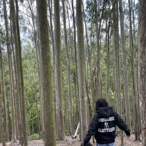 Você e Eu/Flashbacks