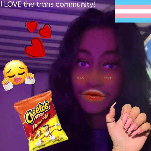 CANT STAND US (don’t.Bl1nx diss track)