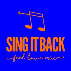 Kevin McKay - Sing It Back (I Feel Love)