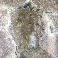 Nuit à la Belle Étoile