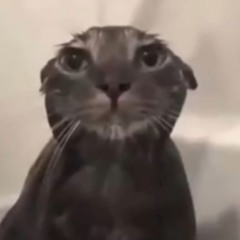 Trance X NEW DROP (Travis Scott, Don Toliver, Metro Boomin) [Jr Stit Mashup].mp3