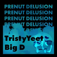 TristyYeet & Big D - Prenut Delusion
