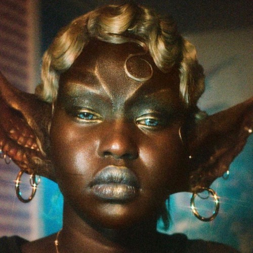 ༒ ঔৣ۝ คquคłтuหε ۝ঔৣ ༒