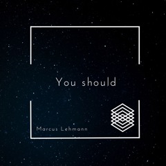 Marcus Lehmann - You Should ( Original Mix )